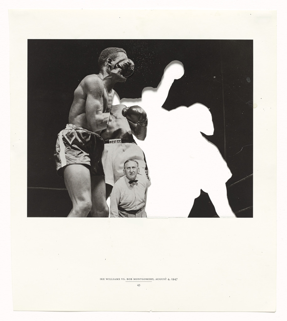 Battle Royale No.17