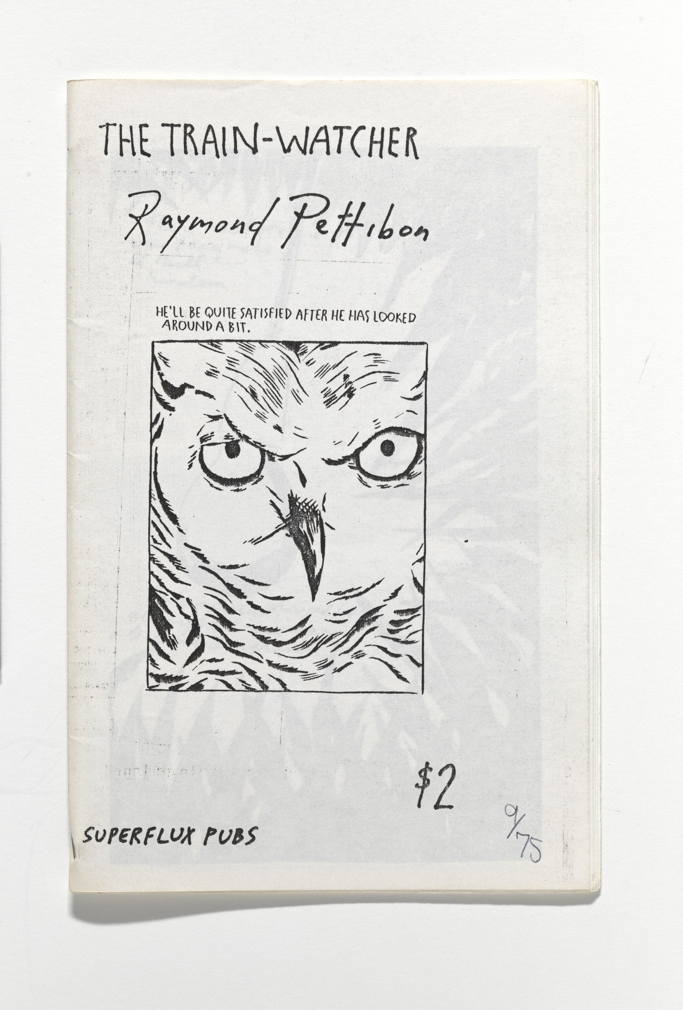 Raymond Pettibon. The Train-Watcher