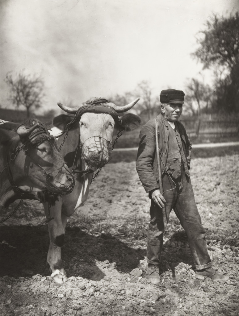 Farmer working the Fields