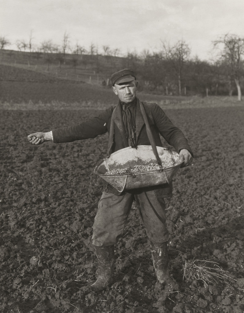 Farmer Sowing