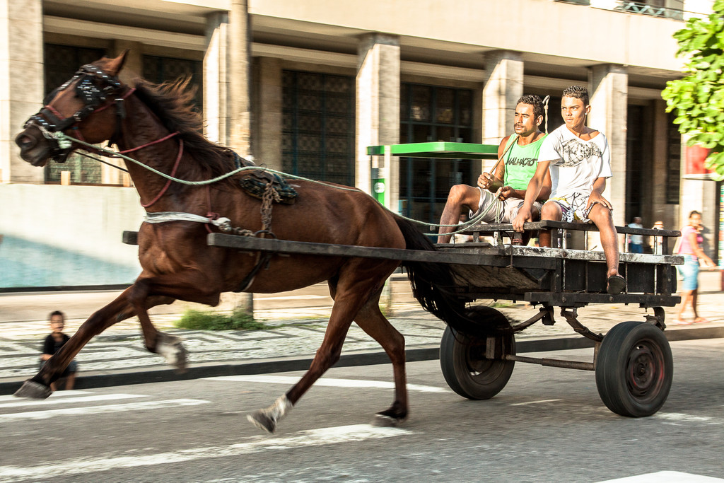 Horse-drawn