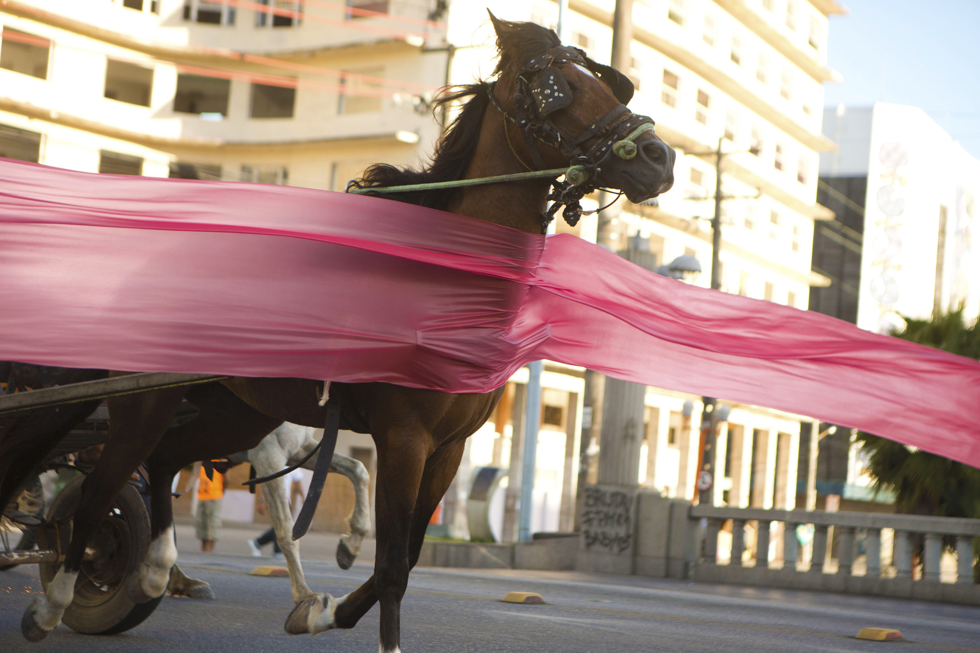 Jonathas de Andrade. The Uprising (O Levante). 2013