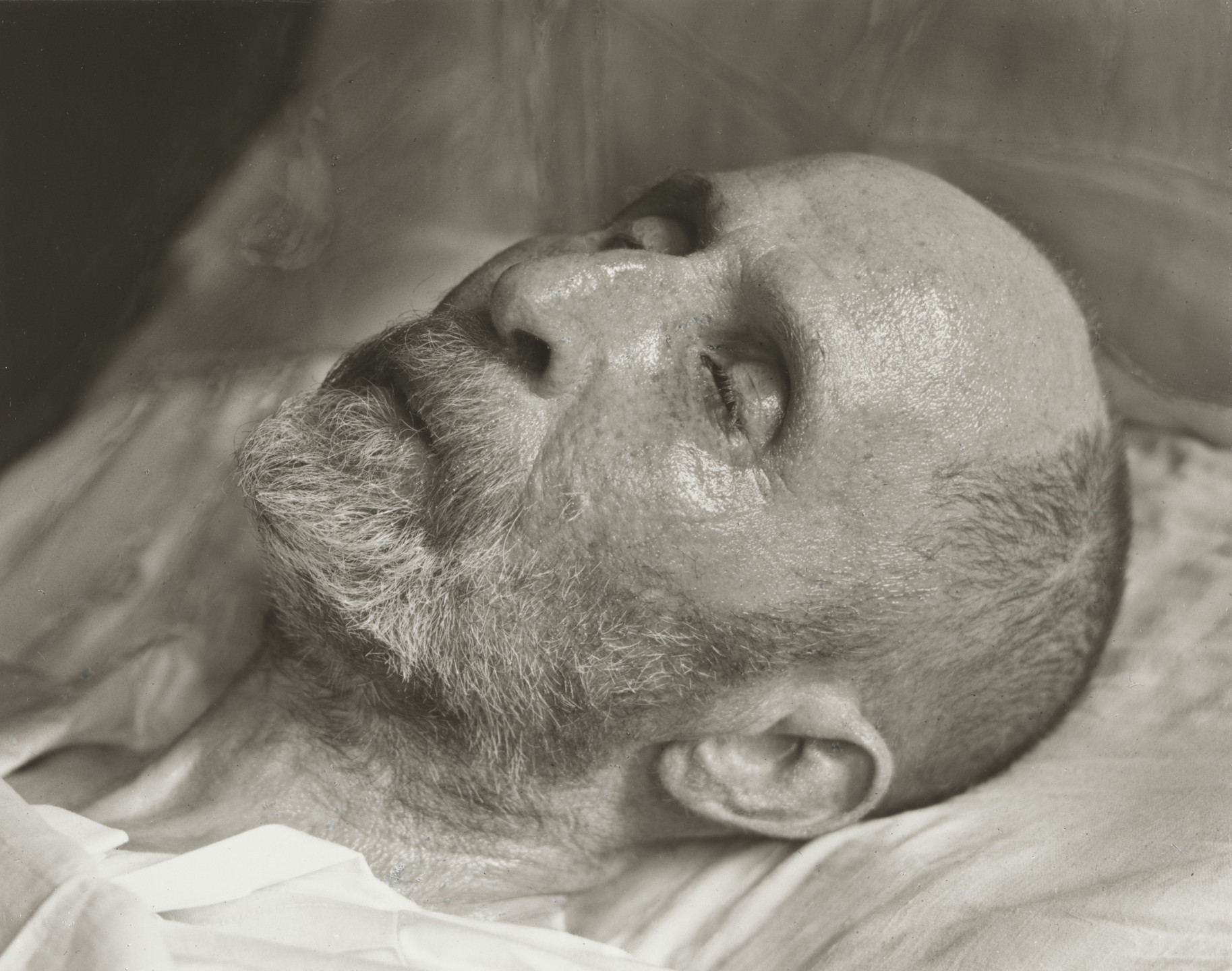 August Sander. Matter. c. 1930