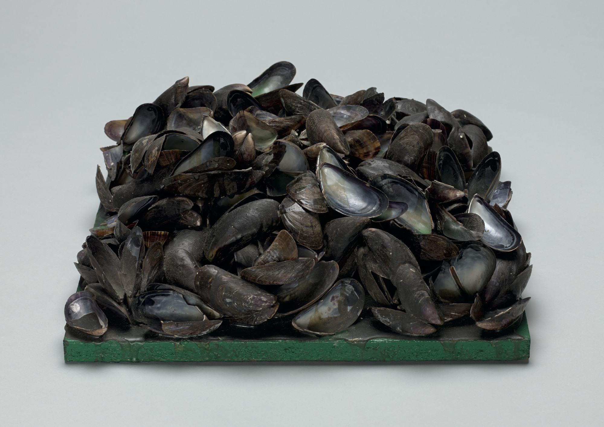 Marcel Broodthaers. Panel of Mussels