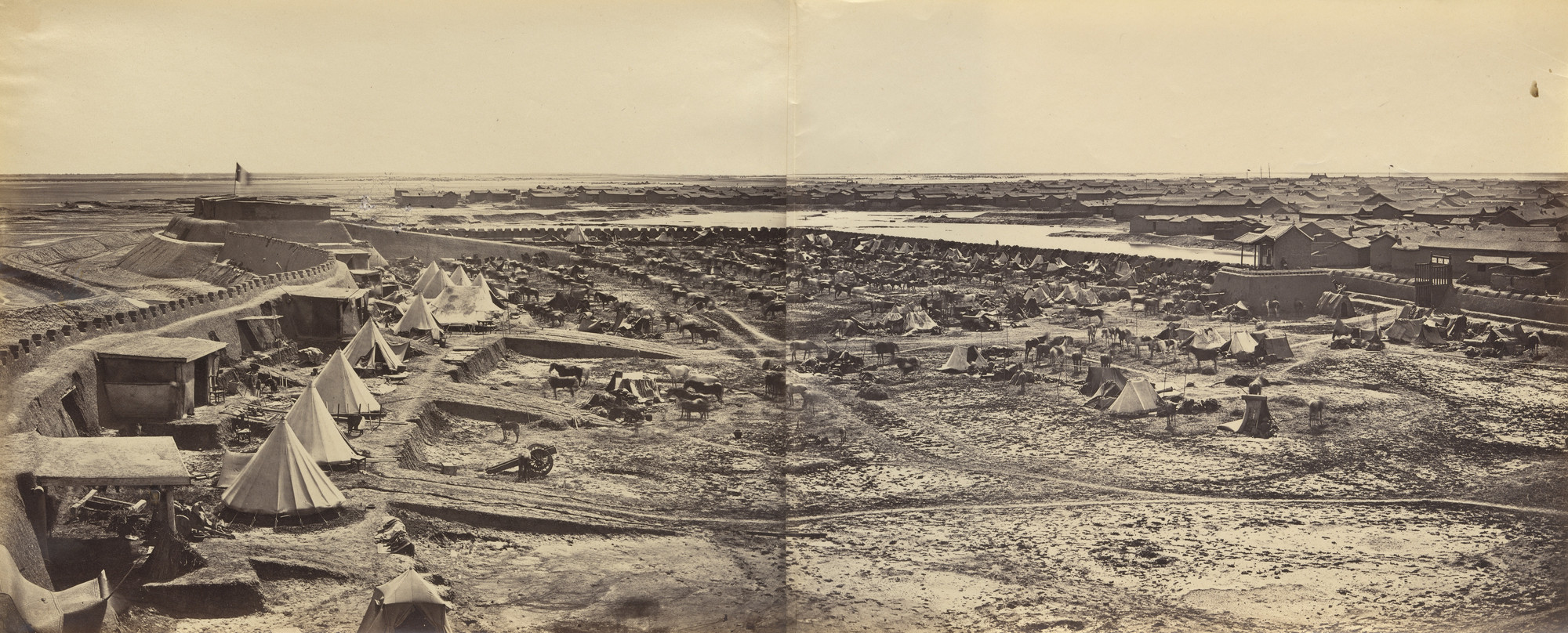 Felice Beato. Interior of Pehtang Fort Showing Probyn&#39;s Horses. August 1st, 1860
