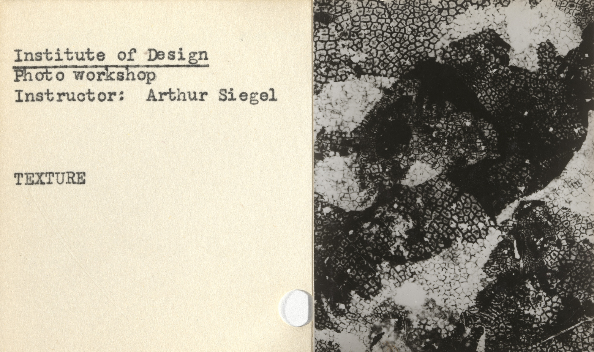 Arthur Siegel, Institute of Design. Untitled instructional cards. c. 1946
