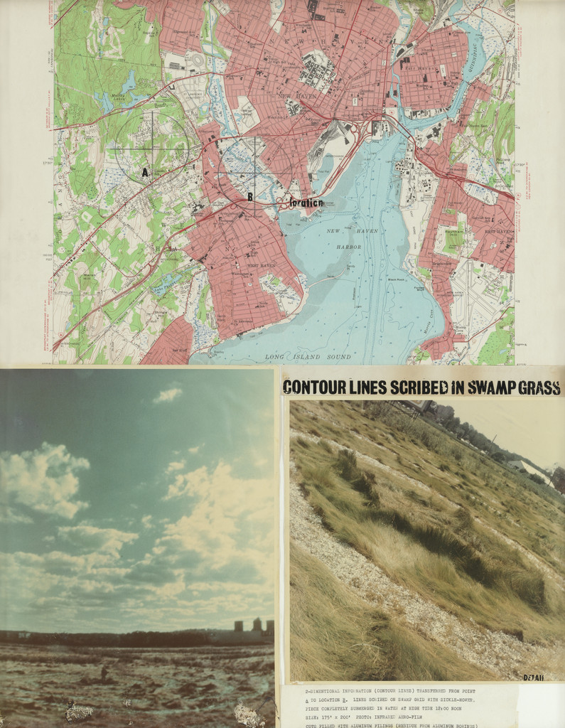Contour Lines Scribed in Swamp Grass