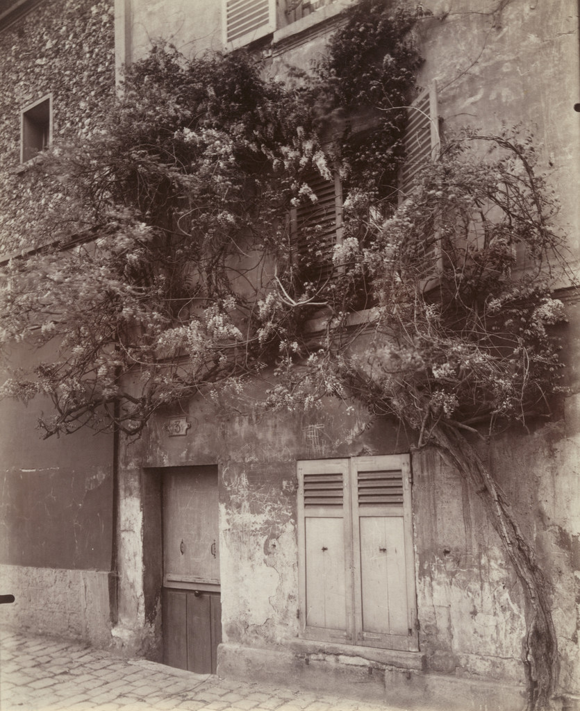 Glycine