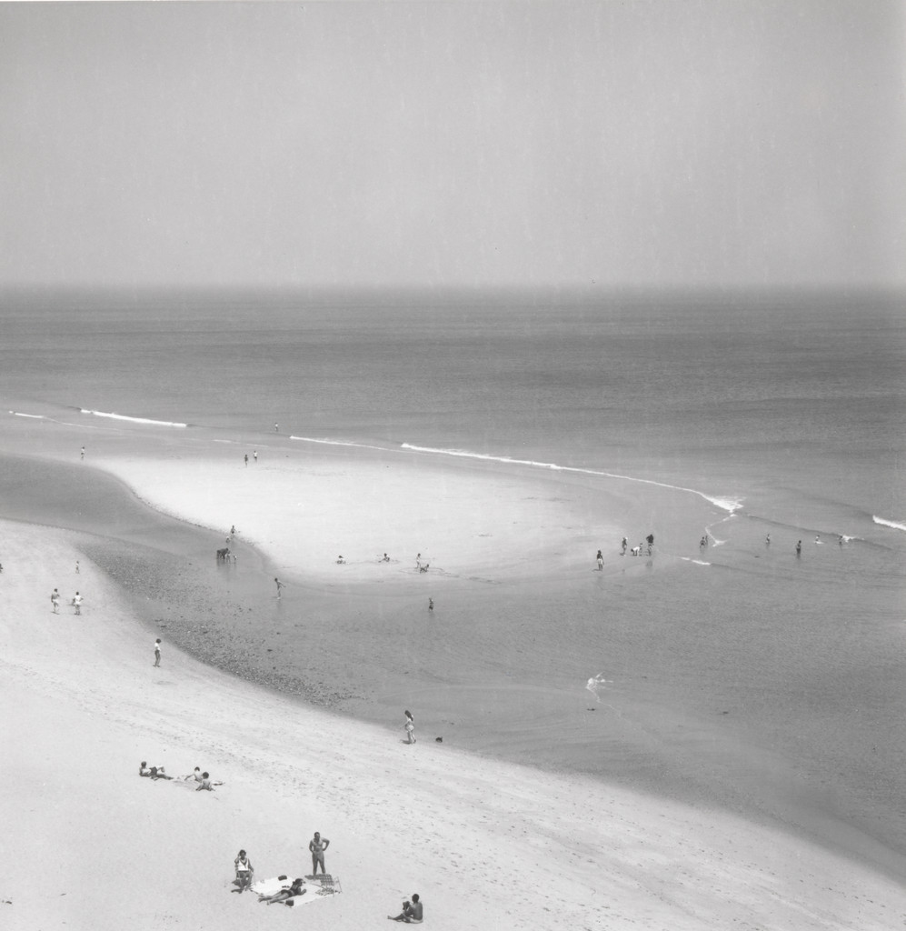 Cape Cod