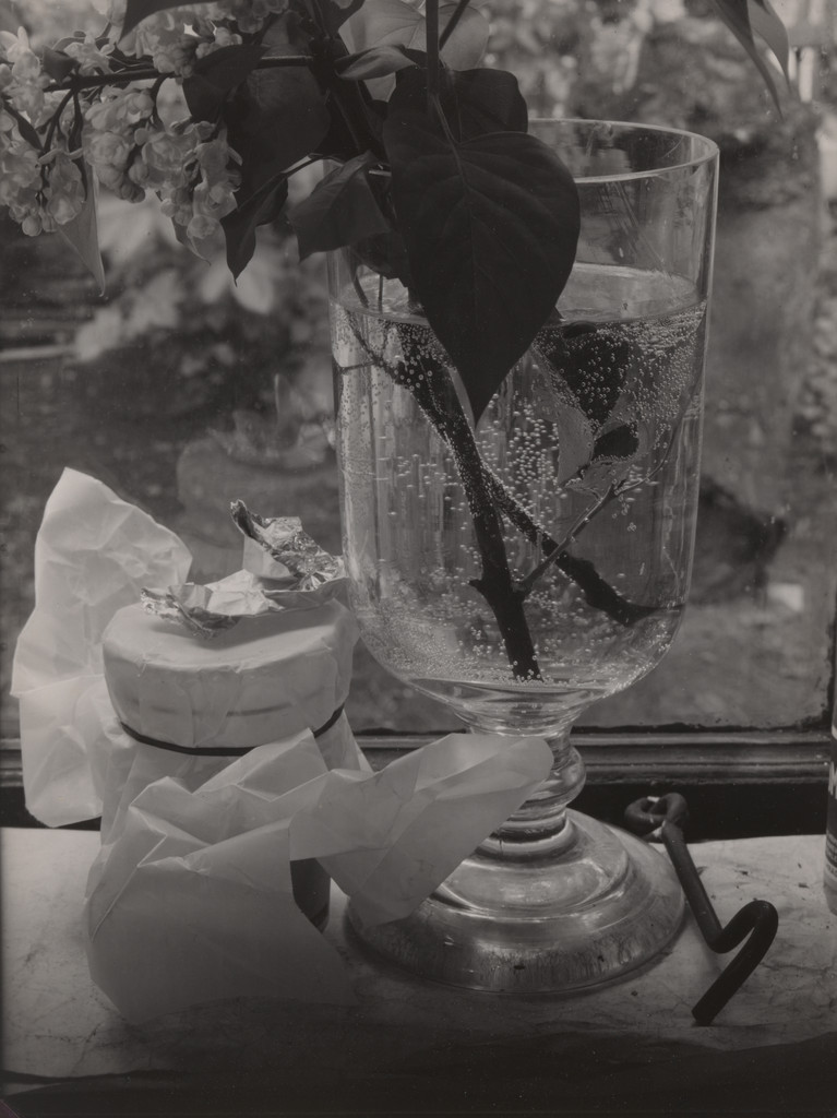 Still Life by Window