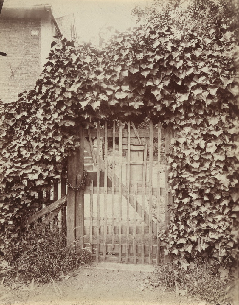 Entrée du jardin
