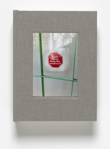 Lynne Tillman. Keep Away from the Window