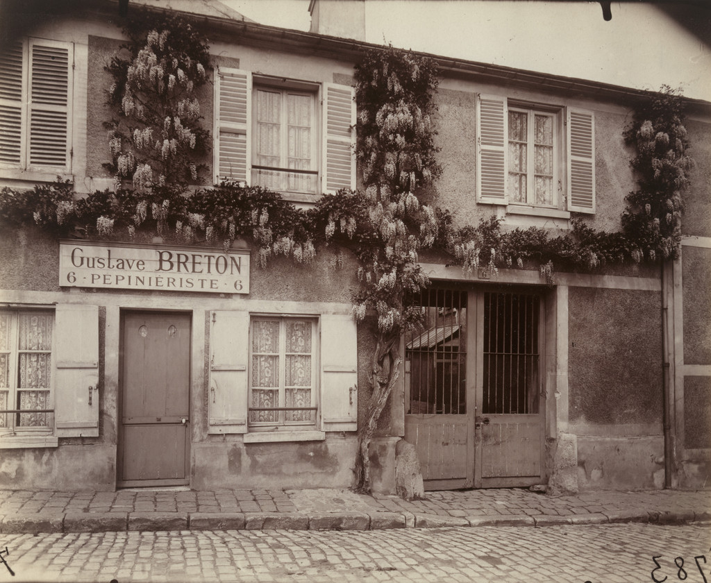 Glycine