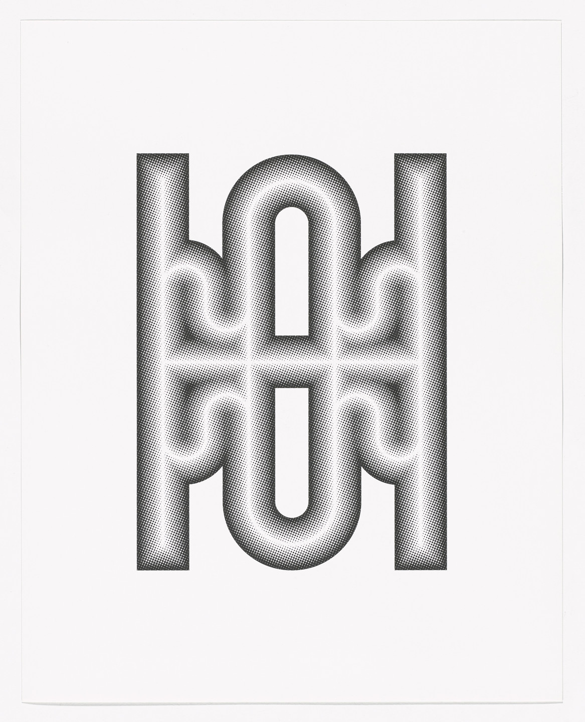 Tauba Auerbach. Shiny Cactus from Type Specimen Portfolio. 2011, printed 2013