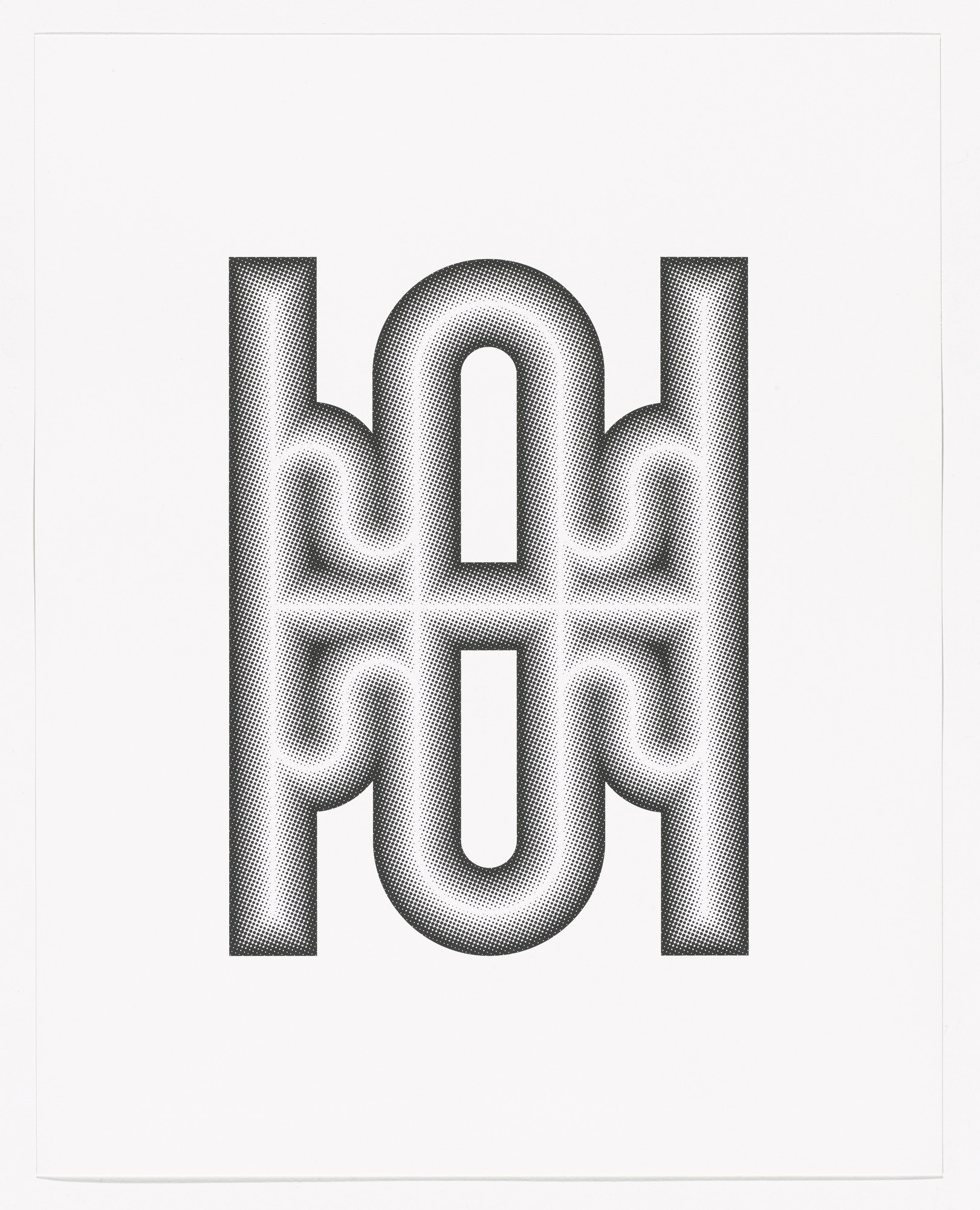 Tauba Auerbach. Shiny Cactus from Type Specimen Portfolio