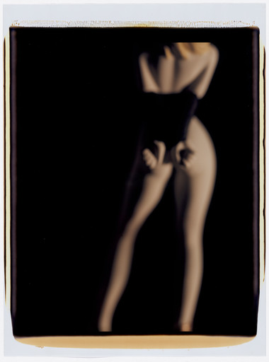 Untitled from the series Desire