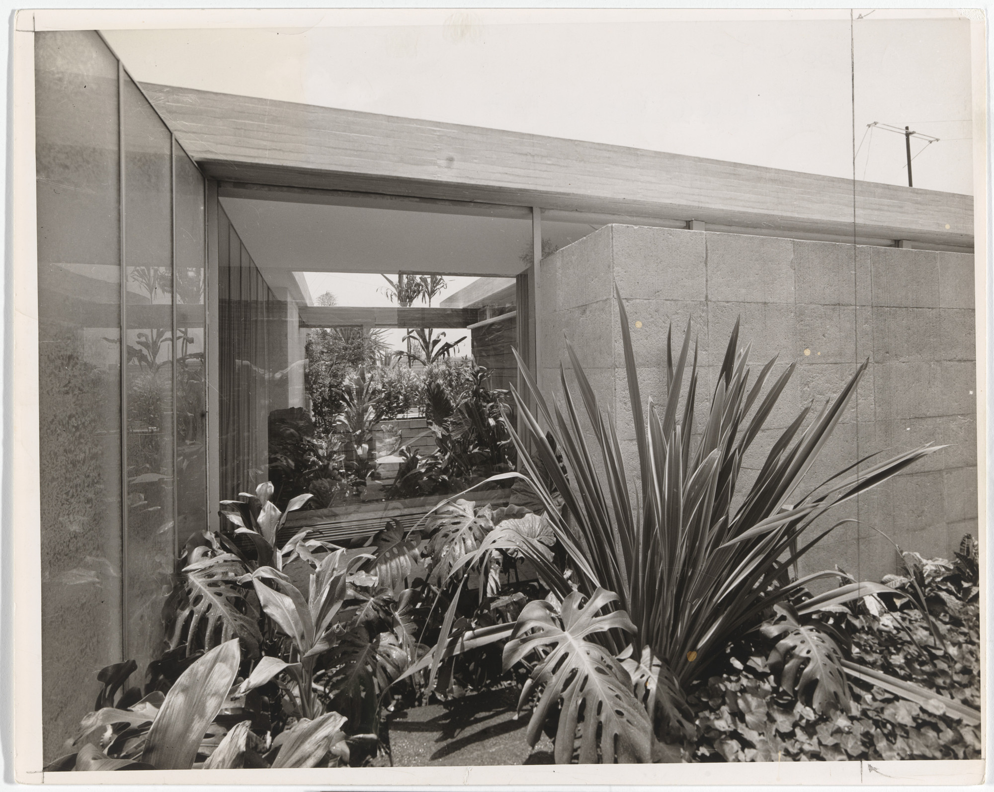 José Antonio Attolini Lack. Residencia Brisa, Col. Pedregal de San Angel, Mexico City, Mexico