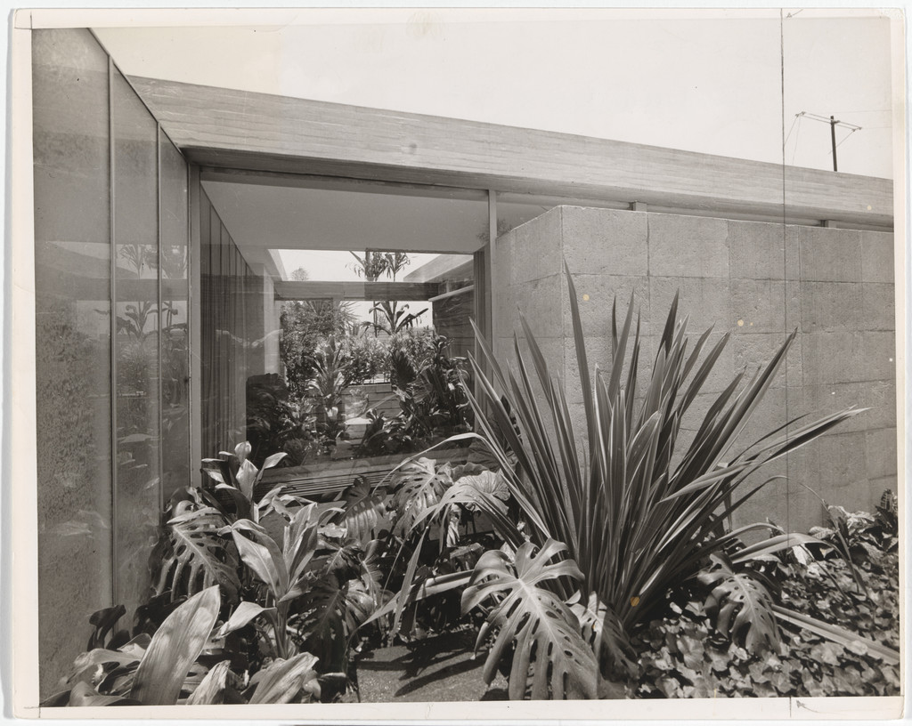 Residencia Brisa, Col. Pedregal de San Angel, Mexico City, Mexico