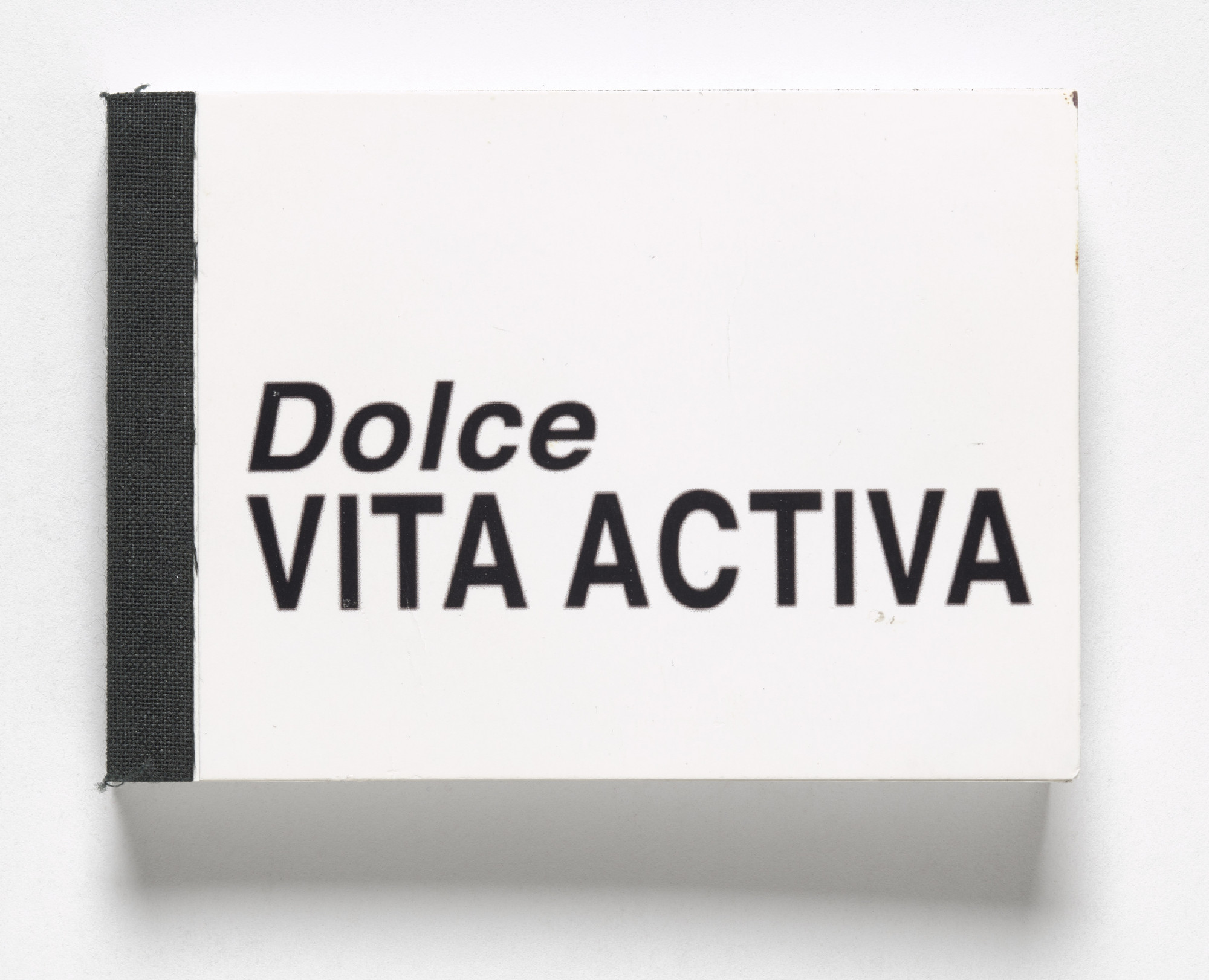 Rosemarie Trockel. Dolce Vita Activa from Book Drafts