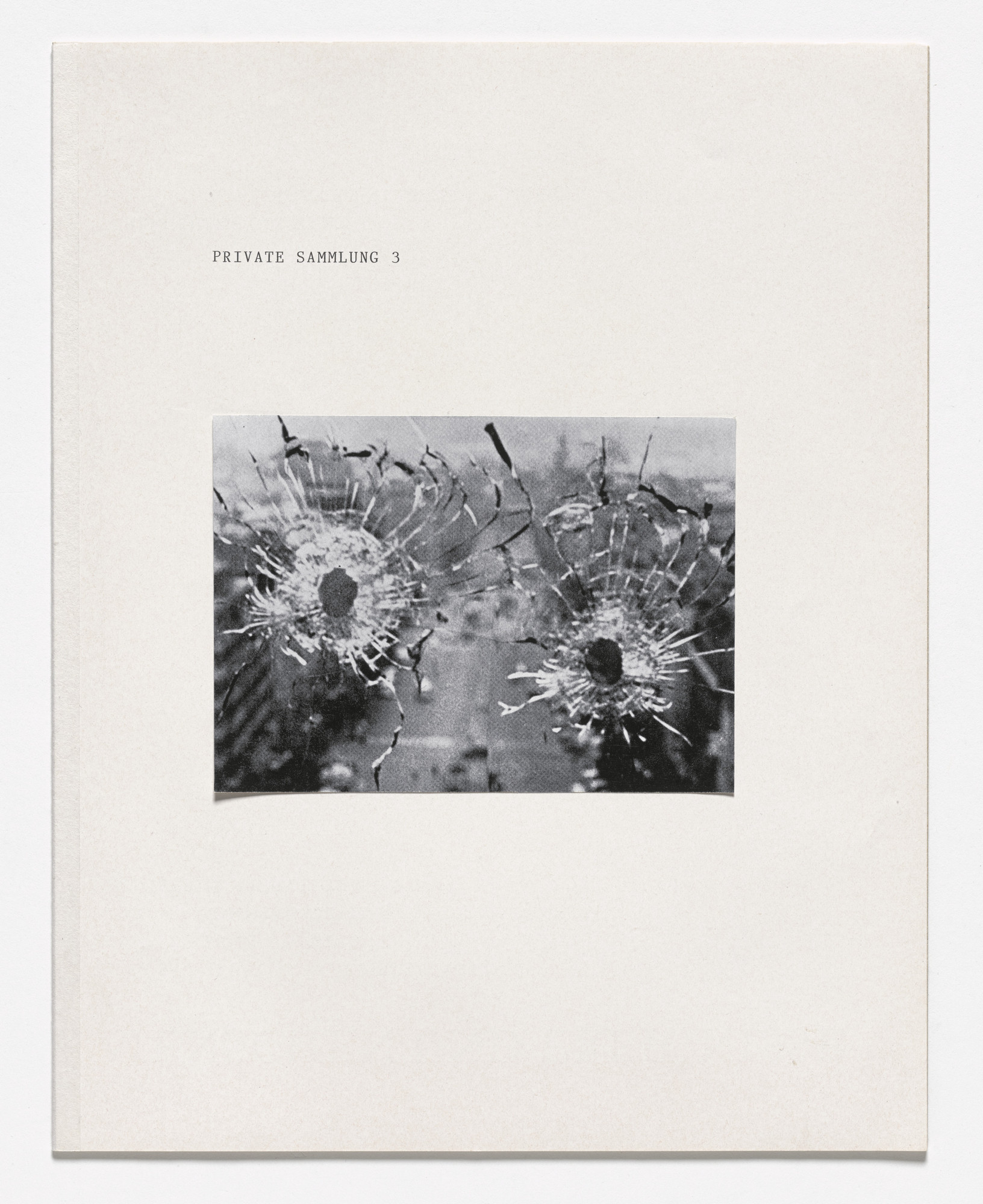 Rosemarie Trockel. Private Sammlung 3 (Private Collection 3) from Book Drafts