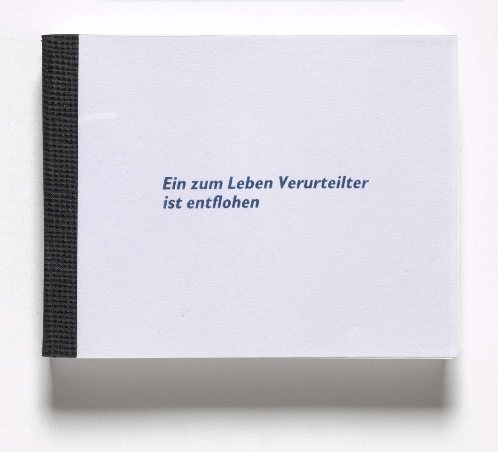 Rosemarie Trockel. Ein zum Leben Verurteilter ist entflohen (Someone Sentenced to Life Has Escaped) from Book Drafts. 1993
