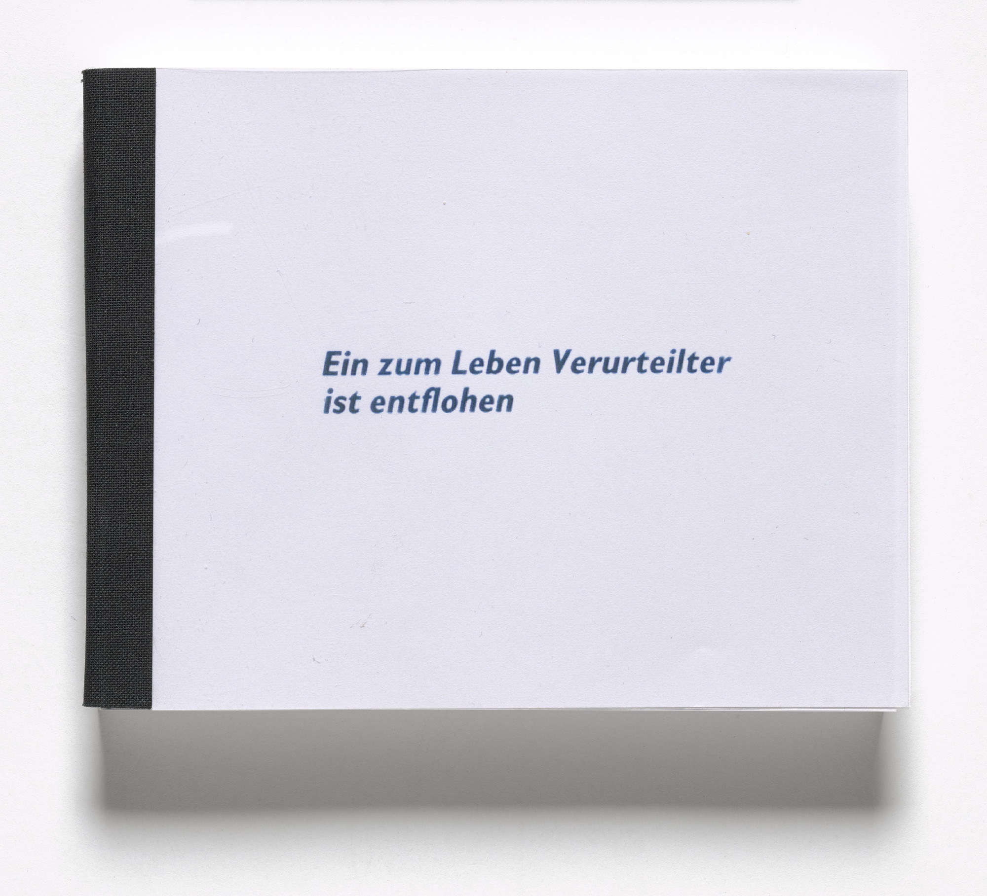 Rosemarie Trockel. Ein zum Leben Verurteilter ist entflohen ( Someone Sentenced to Life Has Escaped ) from Book Drafts