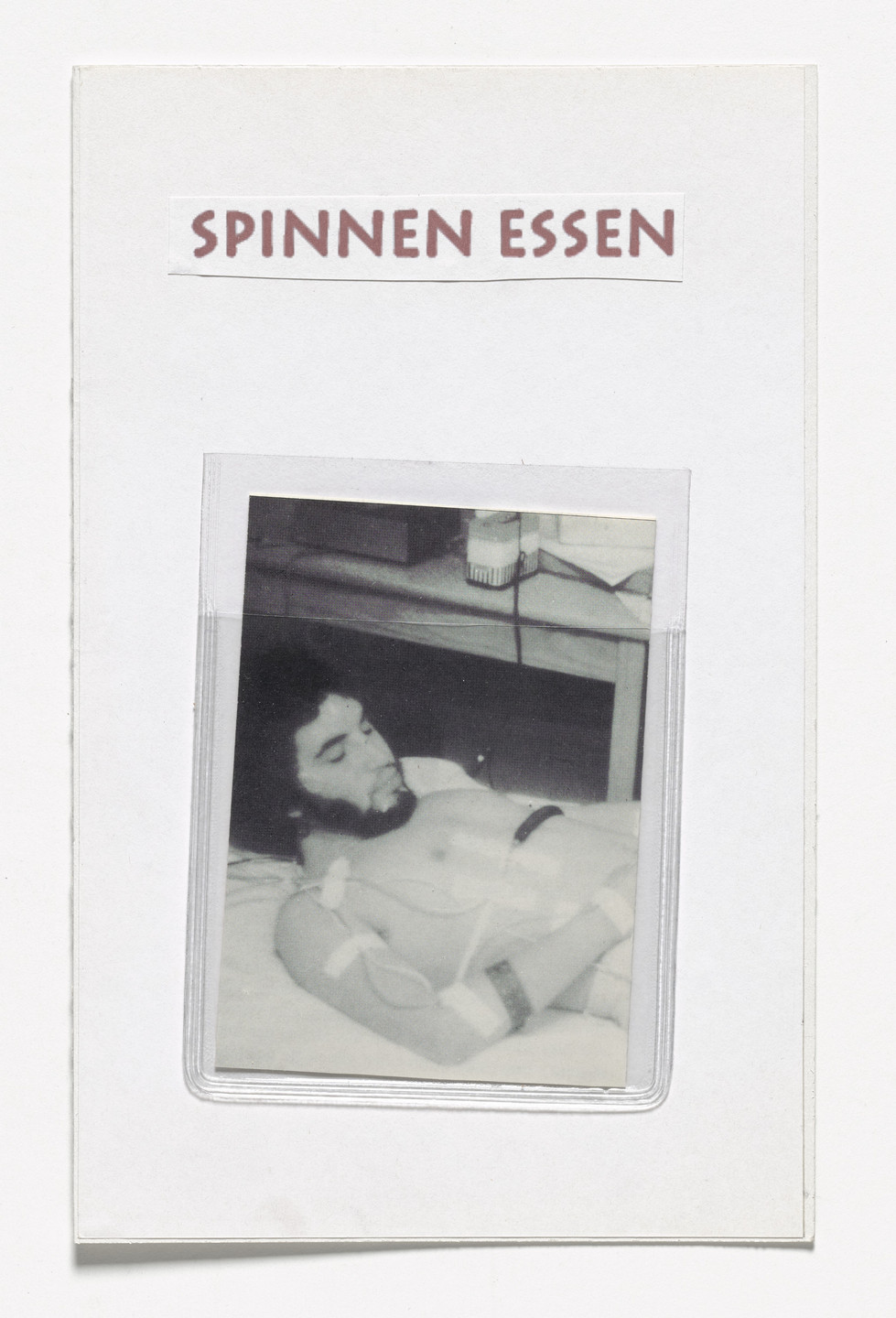 Rosemarie Trockel. Spinnen essen (Eating Spiders) from Book Drafts. 1995