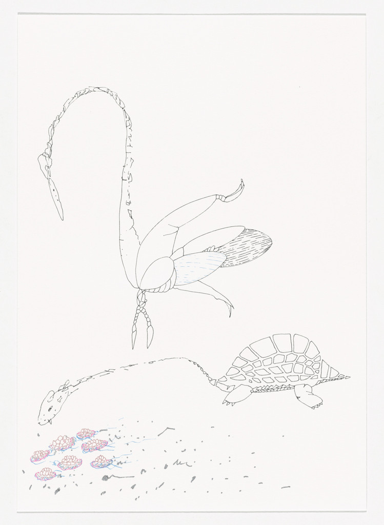 Untitled (for Parkett no. 95)