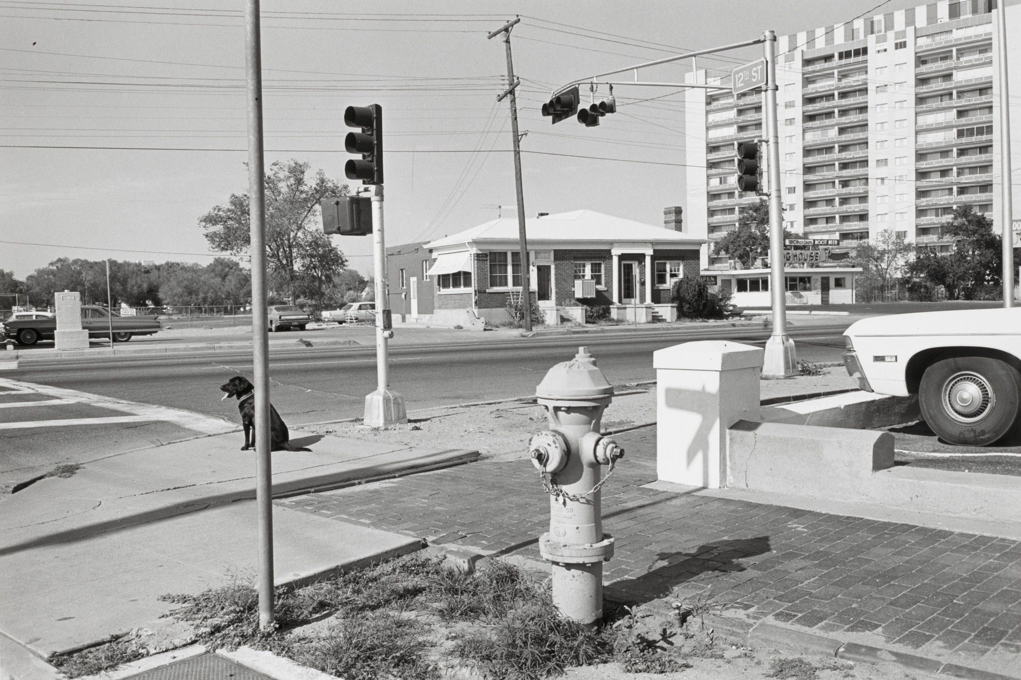 アート・デザイン・音楽 Lee Friedlander | New Mexico Lee Friedlander. Albuquerque, New Mexico. 1972 | MoMA