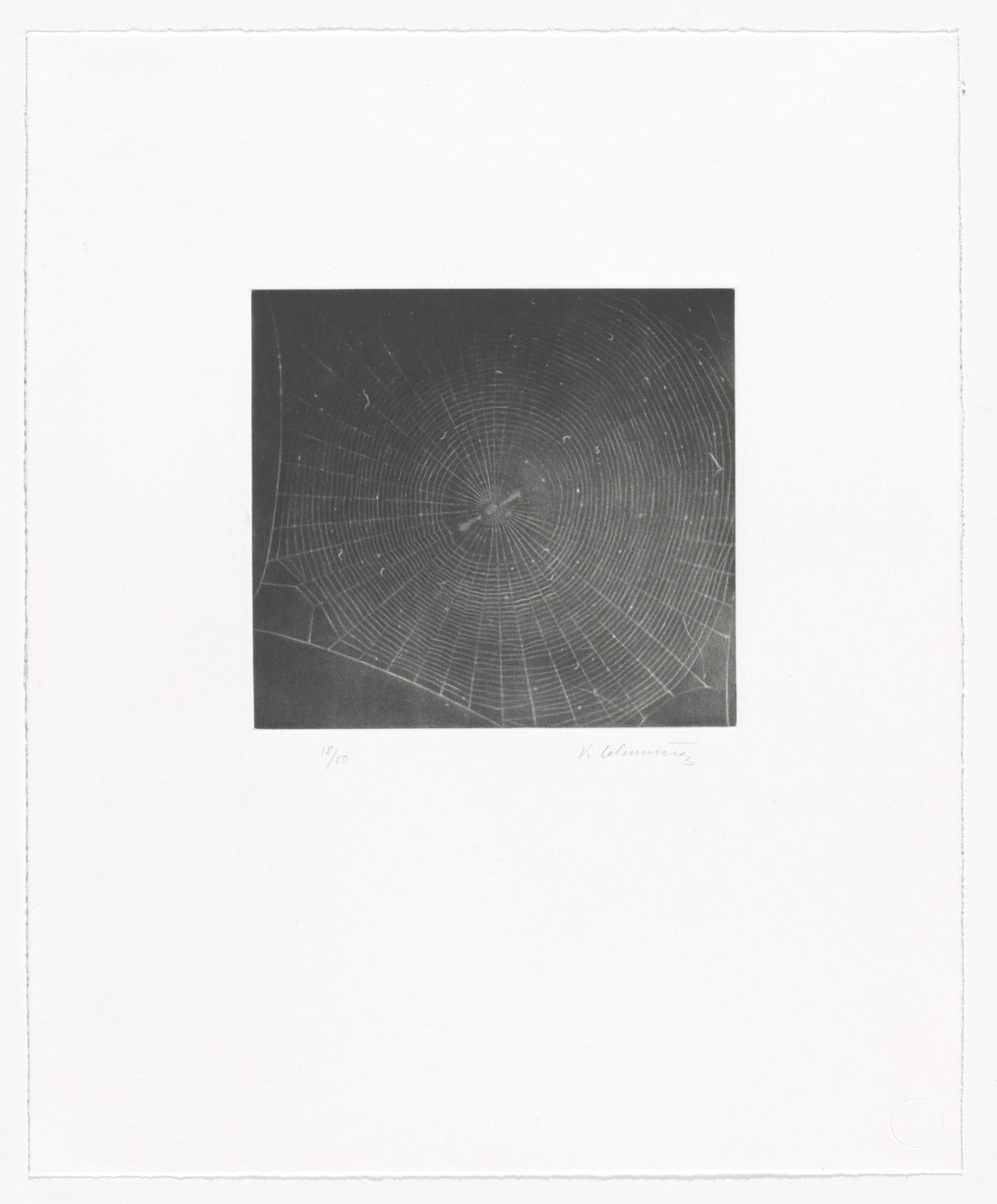 Vija Celmins. Untitled (Web 2). 2001