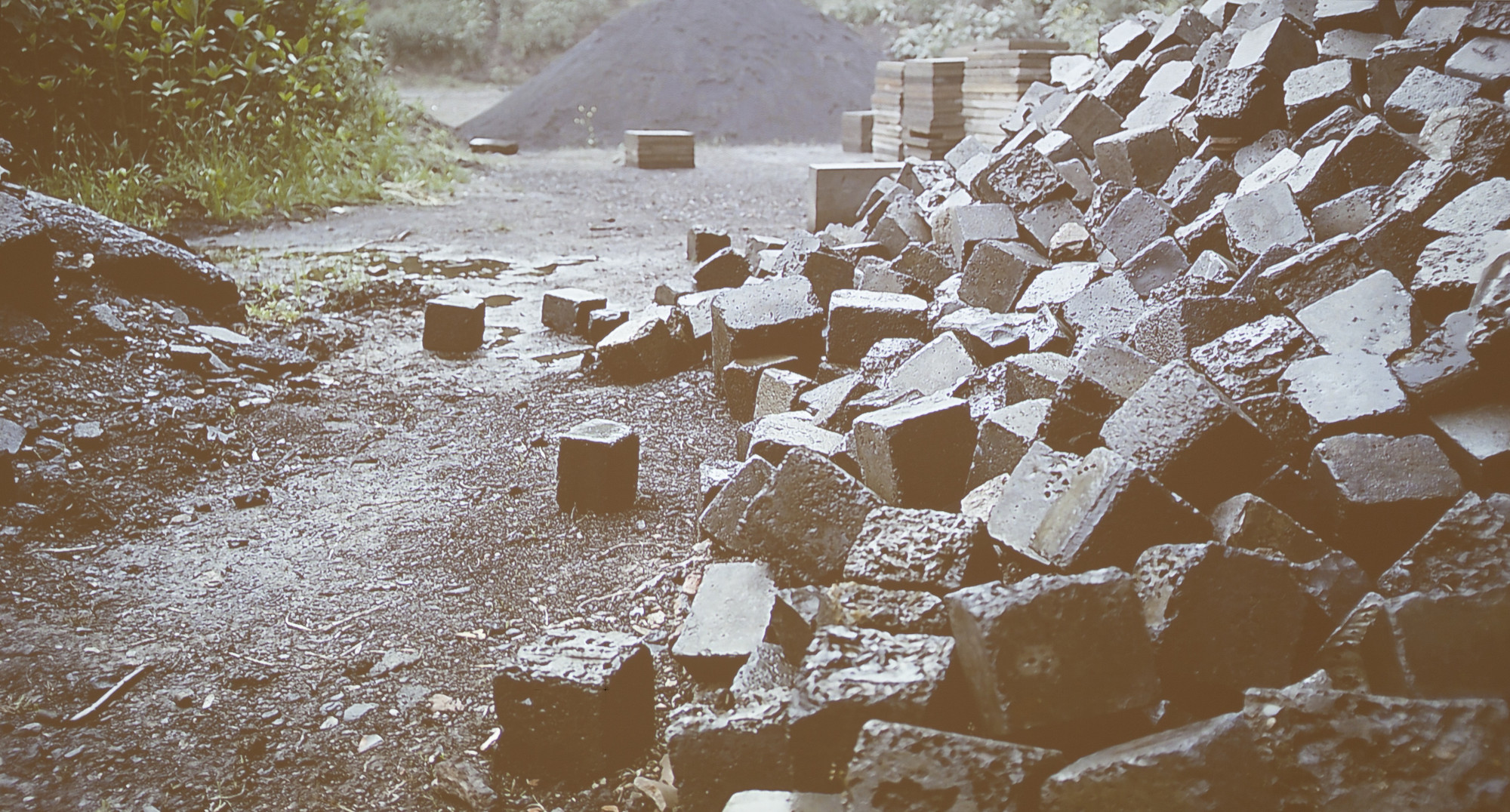 Pierre Huyghe. A Way in Untilled