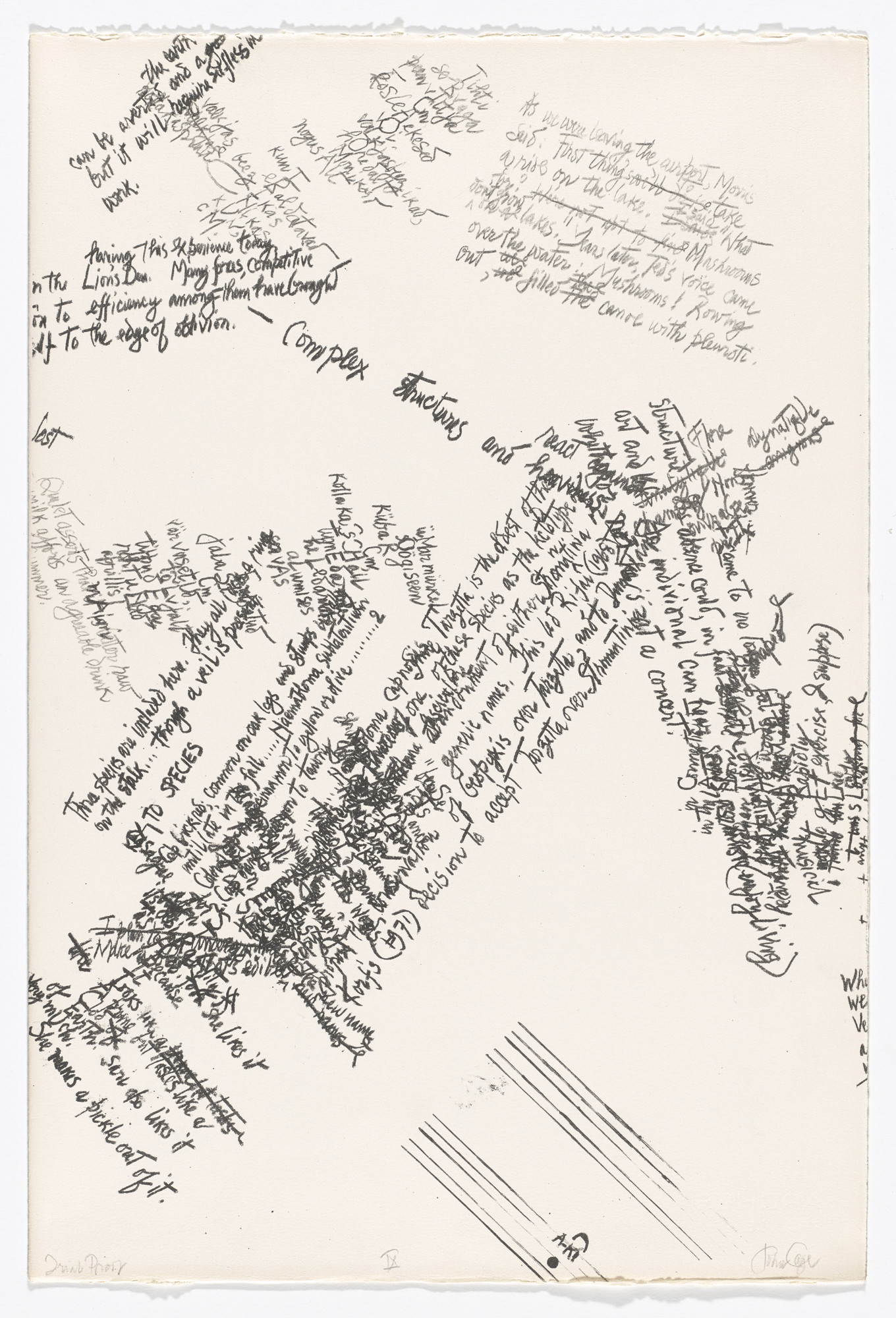 John Cage. IX (plate, folio 27) from Mushroom Book