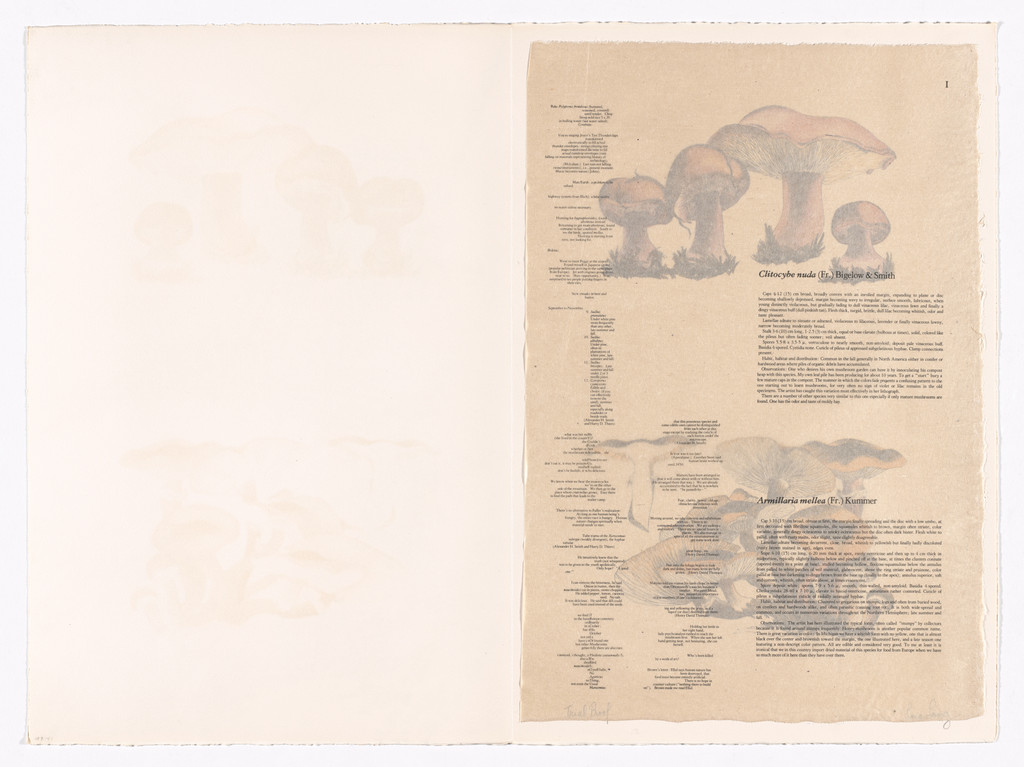 I (plate, folio 5) from Mushroom Book, Lois Long, 1972.  (Print executed 1971-1972).