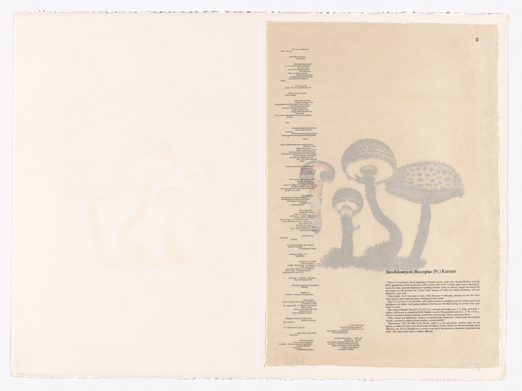 II (plate, folio 8) from Mushroom Book