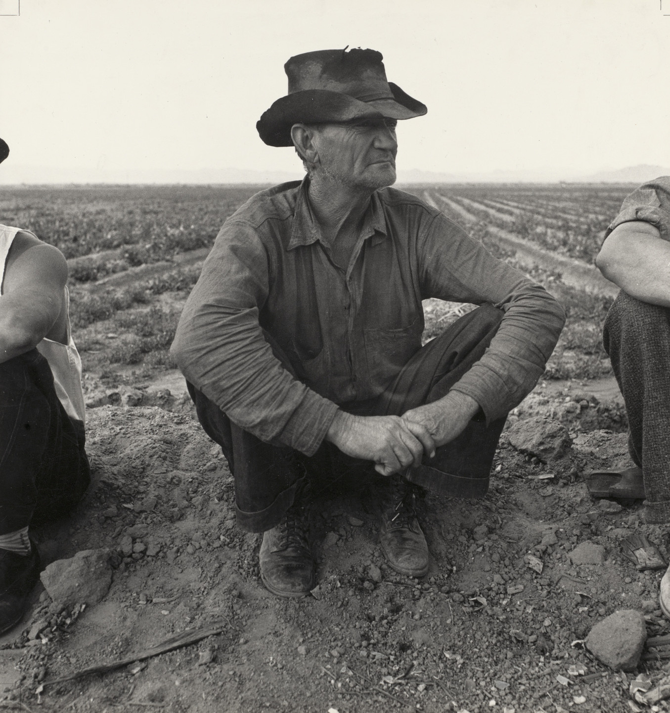 Dorothea Lange. Jobless on the Edge of a Peafield, Imperial Valley, California. February 1937