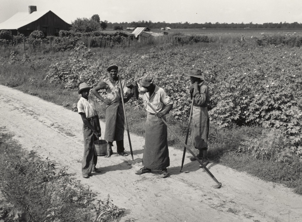 Yazoo Delta, Mississippi