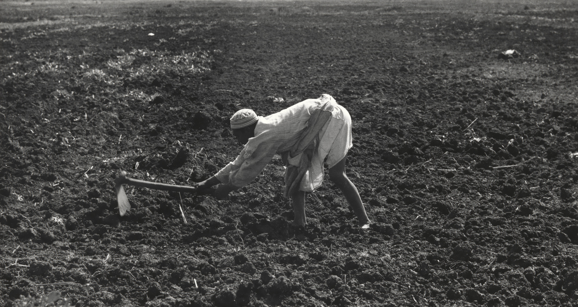 Dorothea Lange. Hoeing, Egypt. 1963