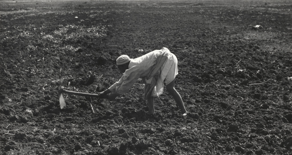 Hoeing, Egypt