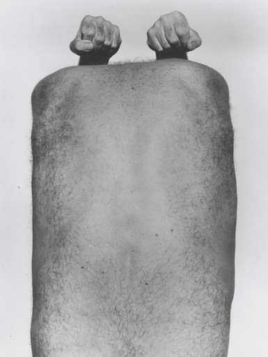 Self-Portrait (Back with Arms Above)