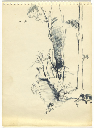 Sketchbook