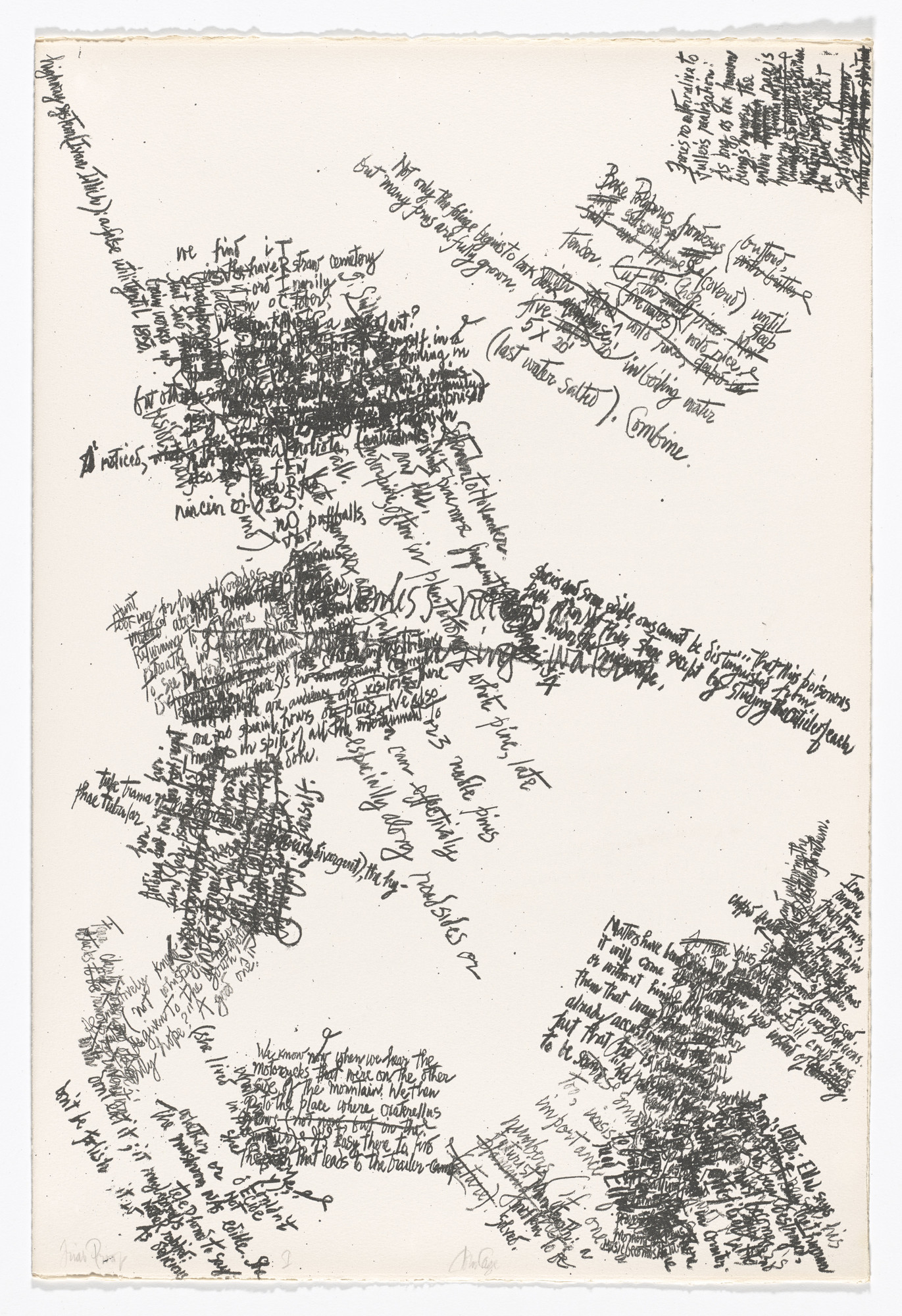 John Cage. I (plate, folio 3) from Mushroom Book