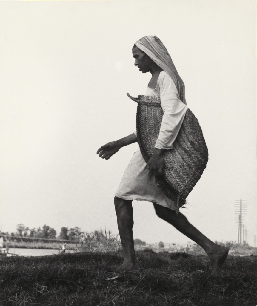 Nile Delta, Egypt