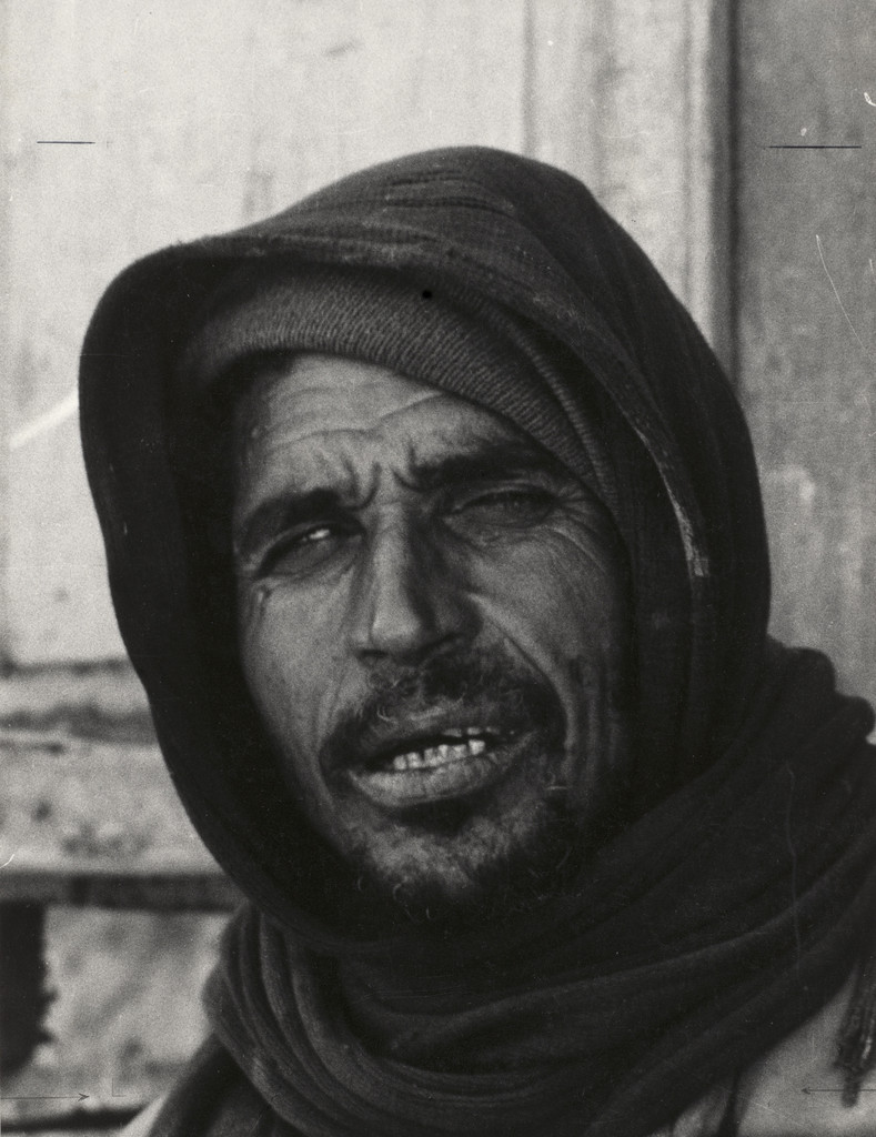 Arab, Egypt