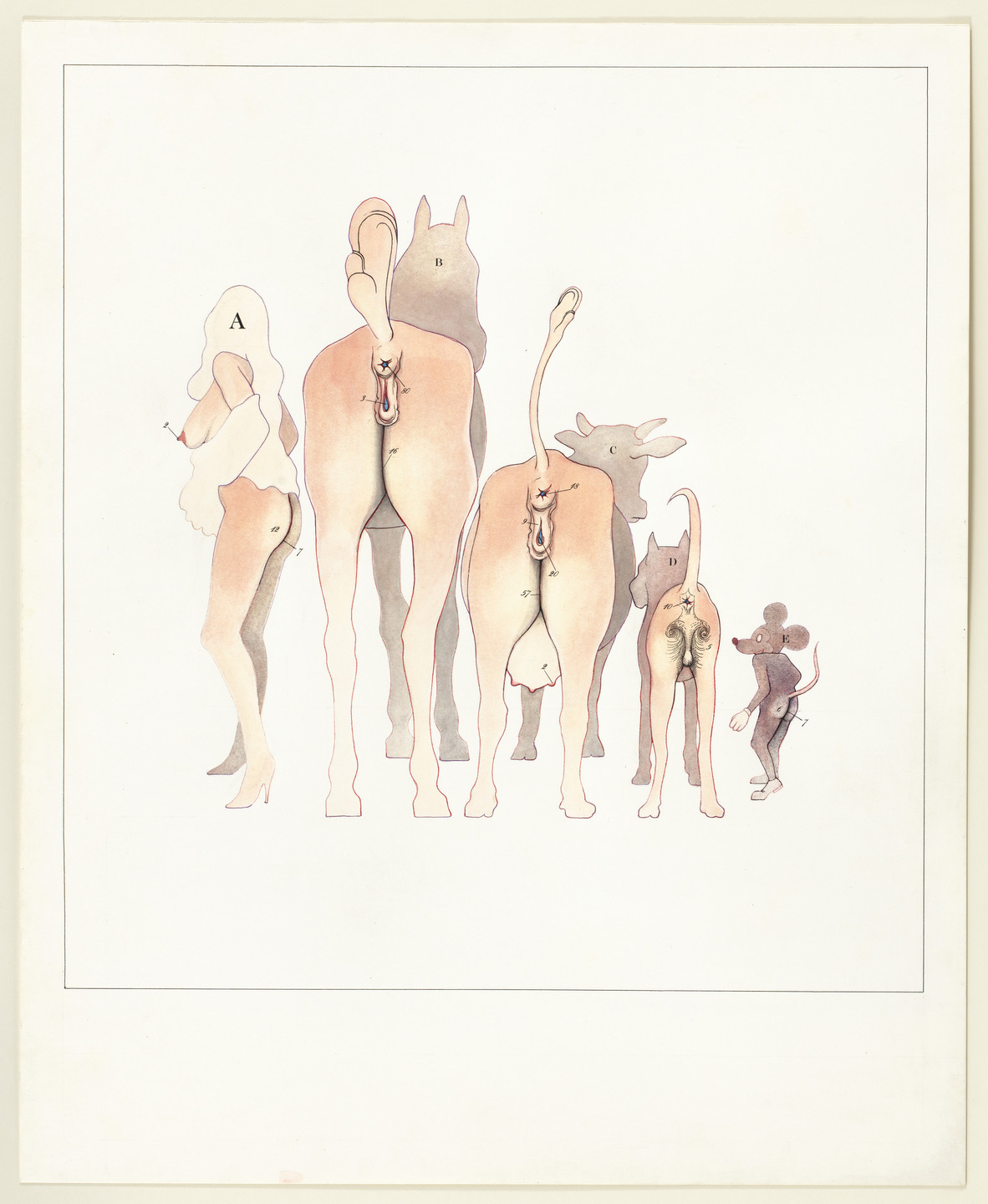 Malcolm Bailey. Untitled. (1970)