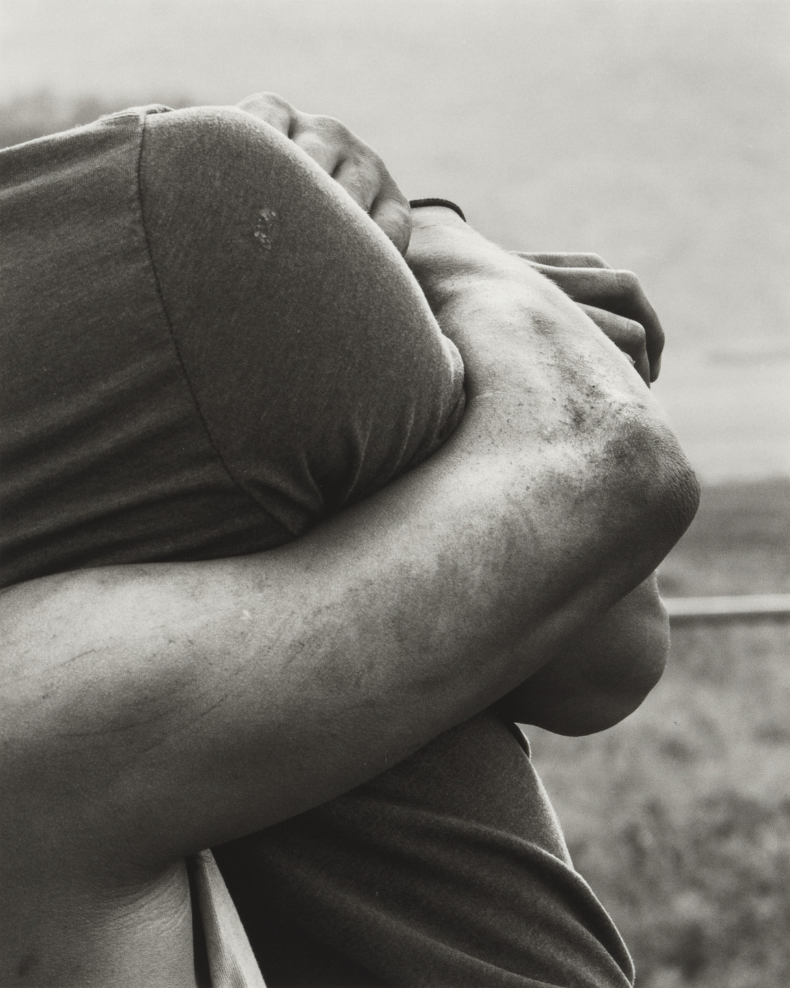 Sam Contis. Embrace. 2015
