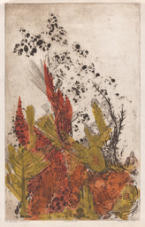 Betye Saar. The Wounded Wilderness. 1962