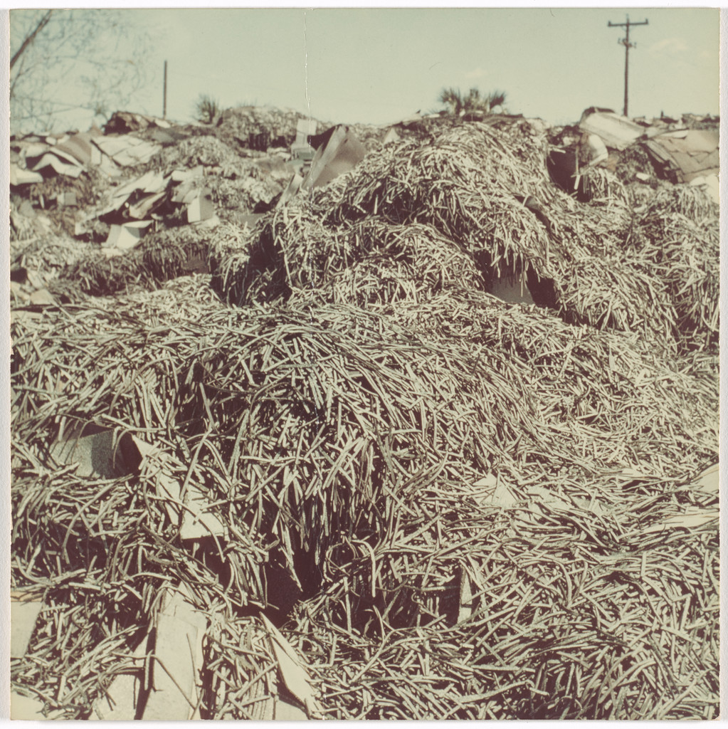 Earth Map of Sulfur and Tar (Cambrian Period)