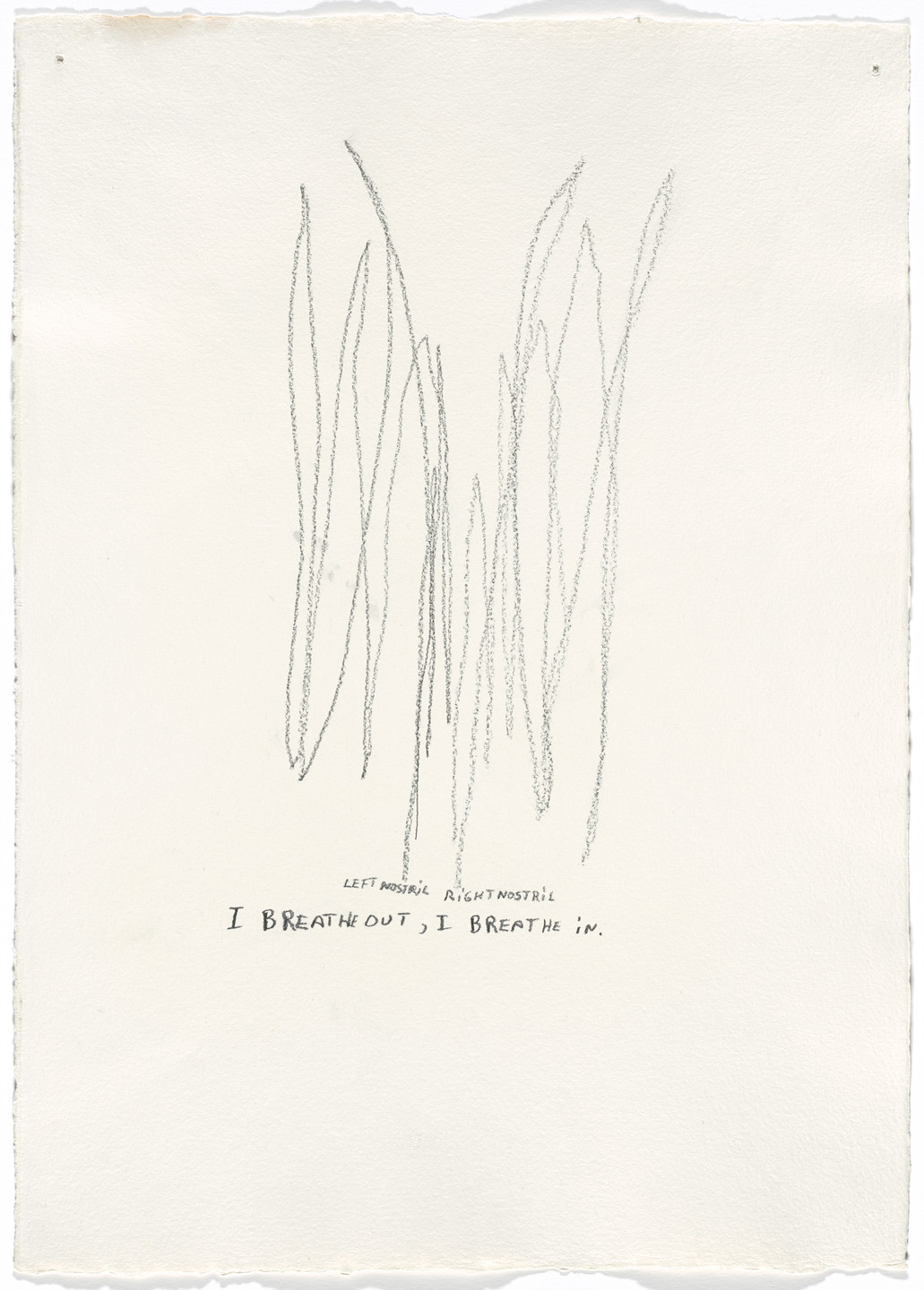 Jimmie Durham. Caliban Codex. 1992