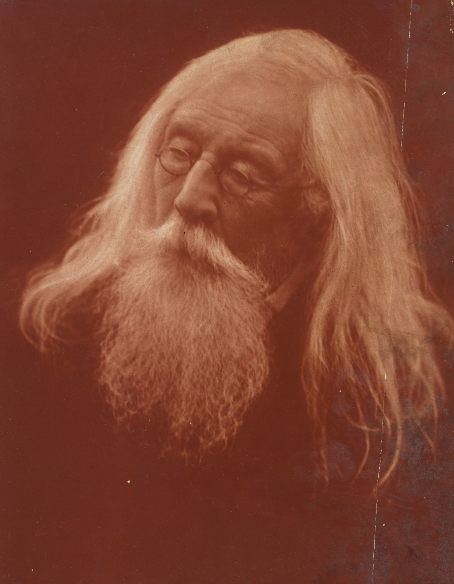 Julia Margaret Cameron. Portrait of Mr. Charles Hay Cameron