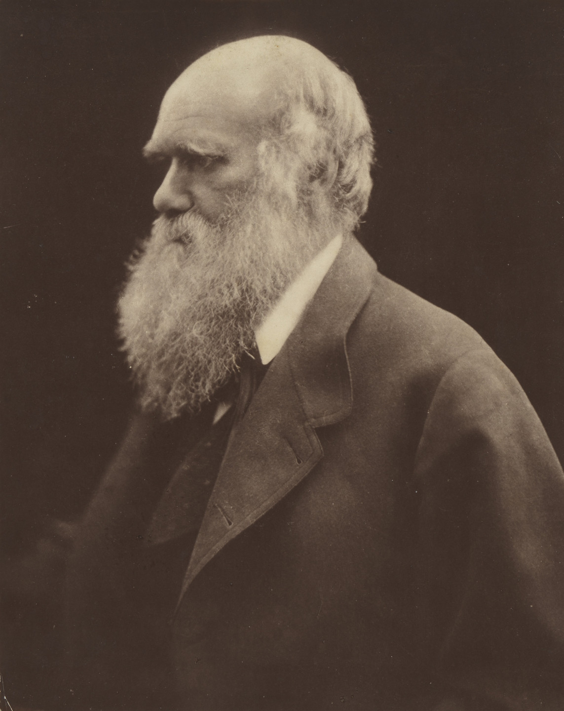 Julia Margaret Cameron. Charles Darwin. 1868